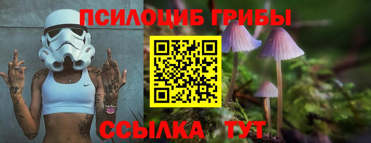 Галлюциногенные грибы Psilocybe  Псилоцибиновые грибы MAGIC MUSHROOMS  Вход с VPN  Туапсе 